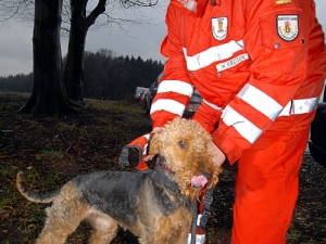 Rettungshundestaffel Weser - Ems